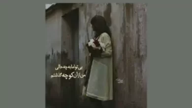 بی تو مهتاب شبی باز از آن کوچه گذشتم