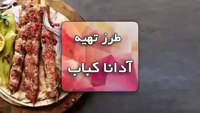فیلم طرز تهیه آدانا کباب