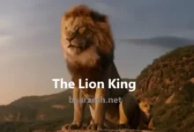 شیر شاه ، انیمیشن سینمایی شیرشاه -باارزش