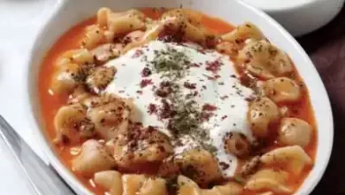 فیلم طرز تهیه مانتی-باارزش