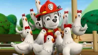 کارتون سگهای نگهبان PAW Patrol Chase Is On the Case Rescues w Skye Marshall-باارزش