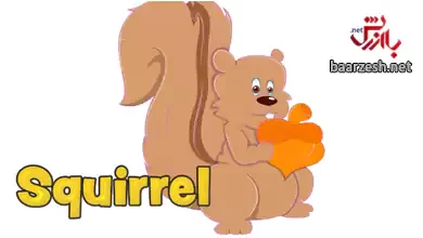 انیمیشن آموزش اسامی انگلیسی حیوانات