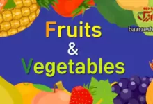 کارتون انگلیش سینگ سینگ fruits & vegetables