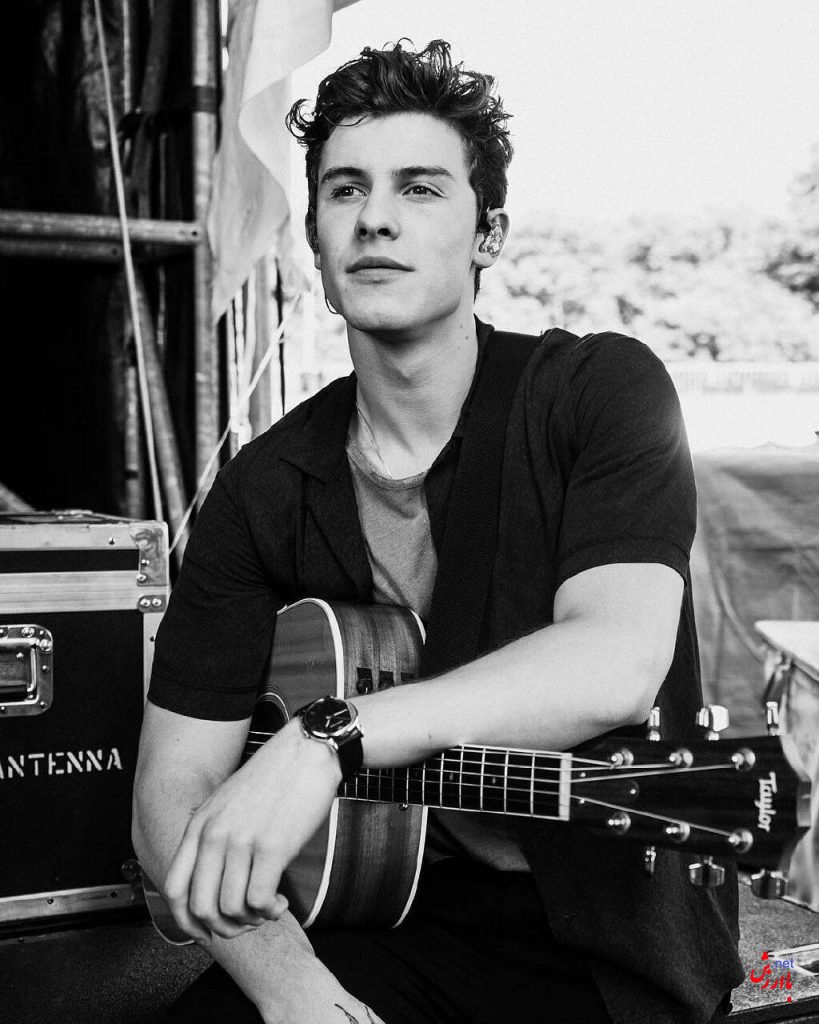 Because I had you Shawn Mendes