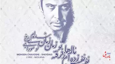 آهنگ شیدایی از محسن چاوشی