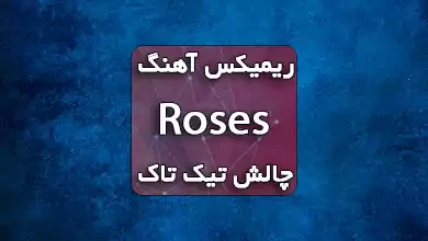 دانلود ریمیکس آهنگ Roses از Imanbek