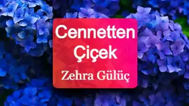 اهنگ ترکی cennetten çiçek mi topluyorum