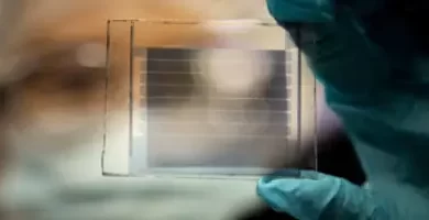 سلول‌های خورشیدی شفاف با طول عمر ۳۰ سال