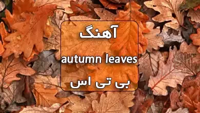 دانلود آهنگ autumn leaves بی تی اس با ترجمه و متن آهنگ