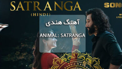 دانلود آهنگ هندی ANIMAL: SATRANGA همراه با متن آهنگ