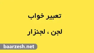 تعبیر خواب لجن چیست؟