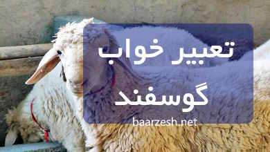 تعبیر خواب گوسفند چیست؟