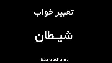 تعبیر-خواب-شیطان