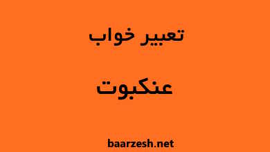 تعبیر-خواب-عنکبوت