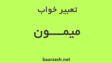 تعبیر خواب میمون