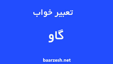 تعبیر-خواب-گاو