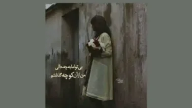اهنگ بی تو مهتاب شبی باز از آن کوچه گذشتم